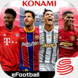 必赢·bwin
